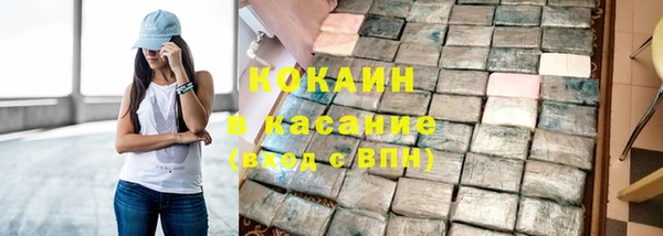 твердый Алзамай