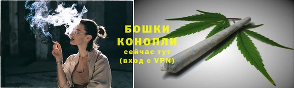 трава Саяногорск