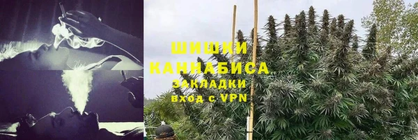 твердый Алзамай
